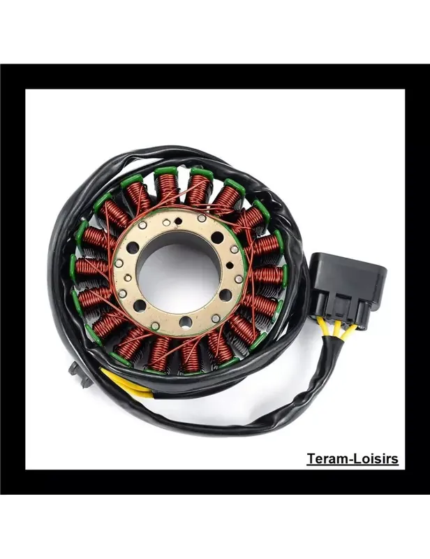 Stator Allumage pour Ducati Monster 1200 de 2014 à 2017 Certifié