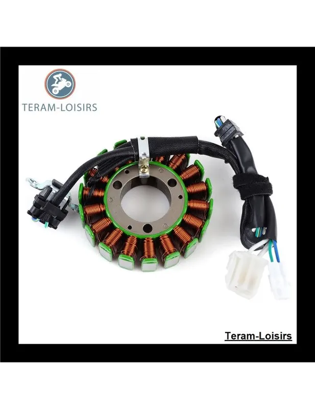 Dernière Chance Stator Alternateur pour Yamaha YS 250 NEUF