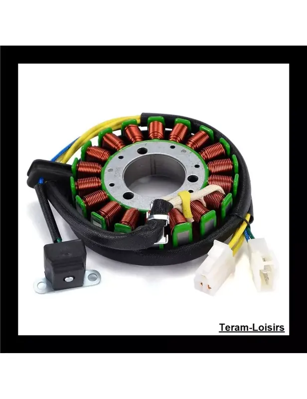 Stator Allumage pour Hyosung GT 650R GT650 de 2005 à 2017 Prix Promo