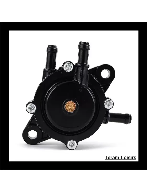 Prix Bas Pompe à Essence pour Honda GXV520U