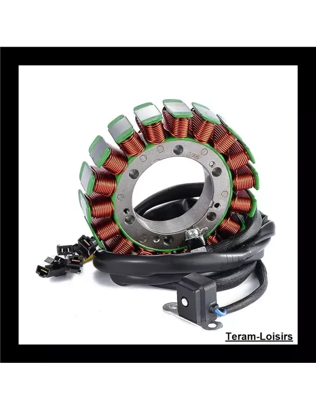 Produit De Marque Stator Allumage pour Suzuki VX800 / VX 800 de 1990 à 1996