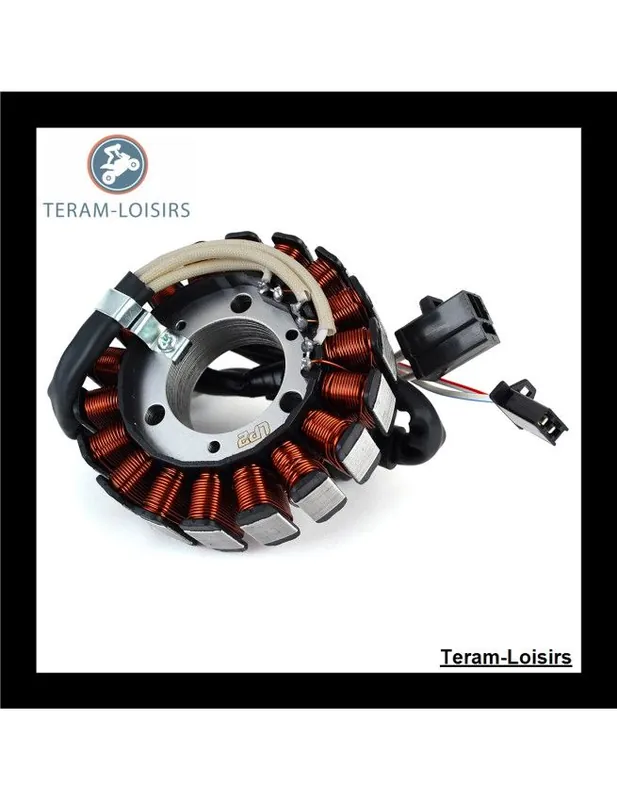 Stator Alternateur pour Yamaha NXC 125 Cygnus à partir de 2004 Prix Bas