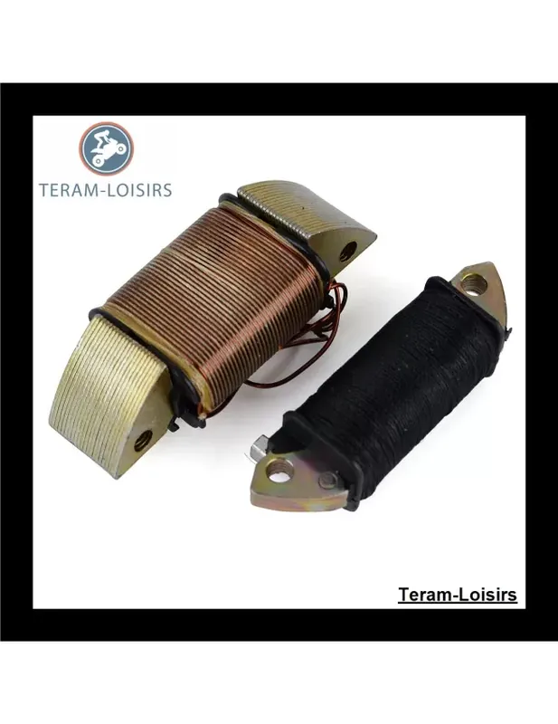 Stator Alternateur pour Honda ATC 185 de 1982 1983 Prix Promo