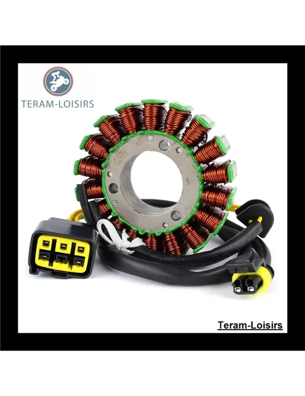 Commander Maintenant Stator Alternateur pour TM Racing MX 250 / 300 2Temps de 2019 2020