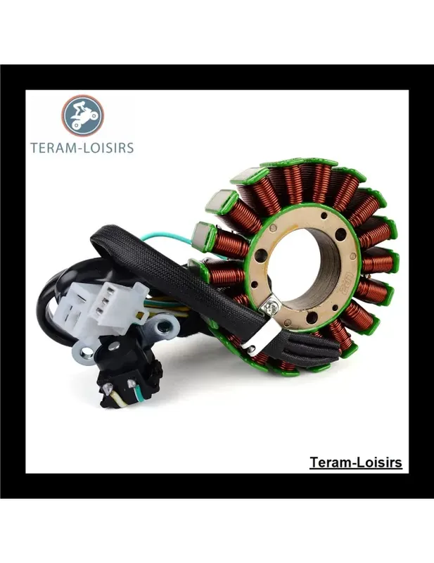 Achetez Aujourd&rsquo;hui Stator Alternateur pour Kawasaki BN 125-A2 Eliminator à partir de 1999