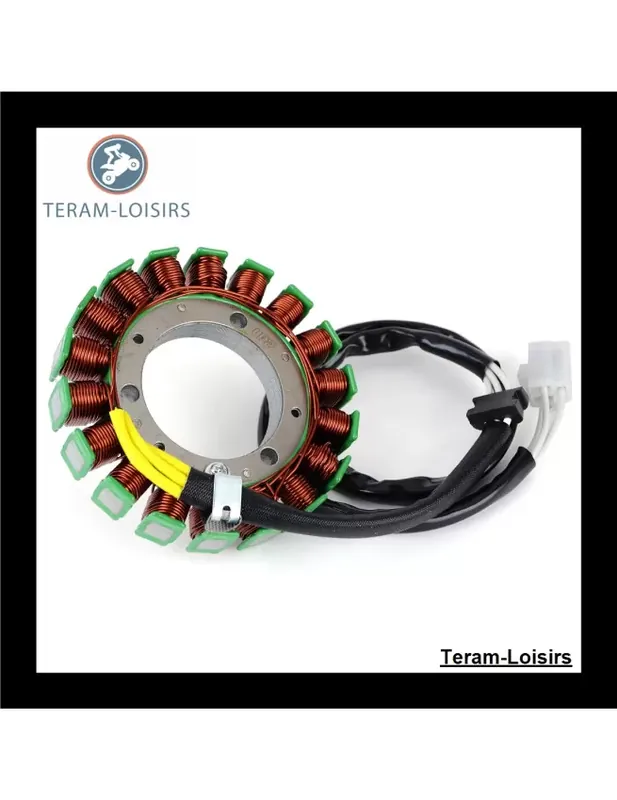 Stator Alternateur pour Kawasaki EJ / W 400 de 2006 2007 2008 Bon Plan