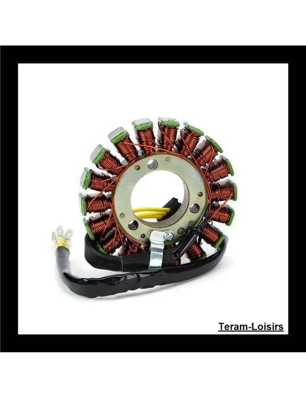 Stator Allumage pour Kawasaki KZ550H de 1982 et 1983 Achetez Aujourd'hui