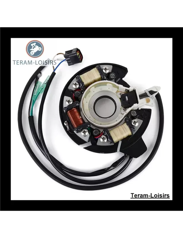 Stator Alternateur pour Yamaha OEM:66T-85560-00 / OEM:66T-85560-01 Vente Flash