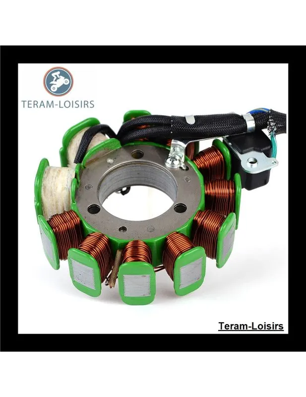 Achat Immédiat Stator Alternateur pour Suzuki LT 230 / EL QuadRunner à partir de 1990