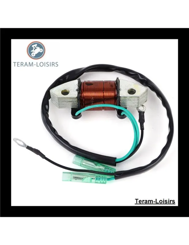 Achetez Aujourd&rsquo;hui Stator Alternateur pour Yamaha 40 X M(W/T) HS / L de 1998 1999 2000 2001 2002 2003 2004 2005 2006 2007 2008 à 2013