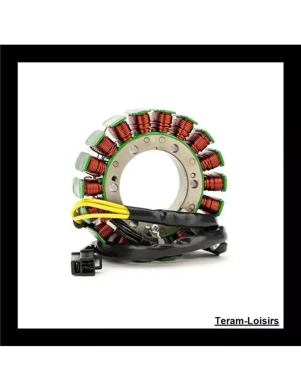 Super Prix Stator Allumage pour Honda 31120-MZ6-611 / 31120-MS9-004