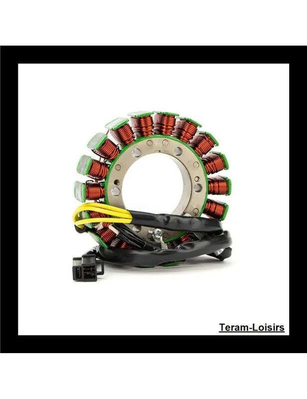 Stator Allumage pour Honda NTV 600 Revere de 1988 1989 1990 et 1991 Super Prix