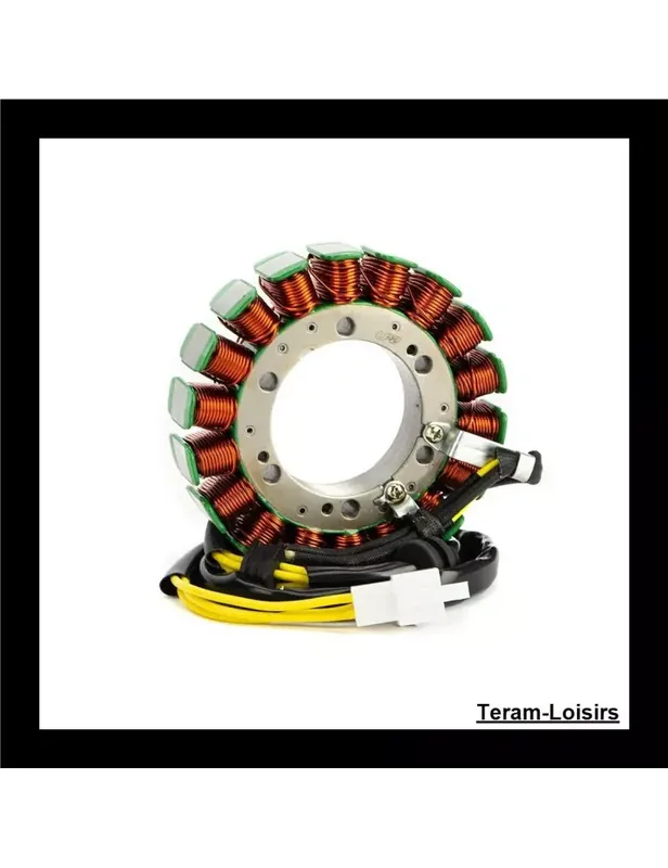 Stator Allumage pour Honda VT 600 C Shadow VLX de 1988 à 2007 Authentique