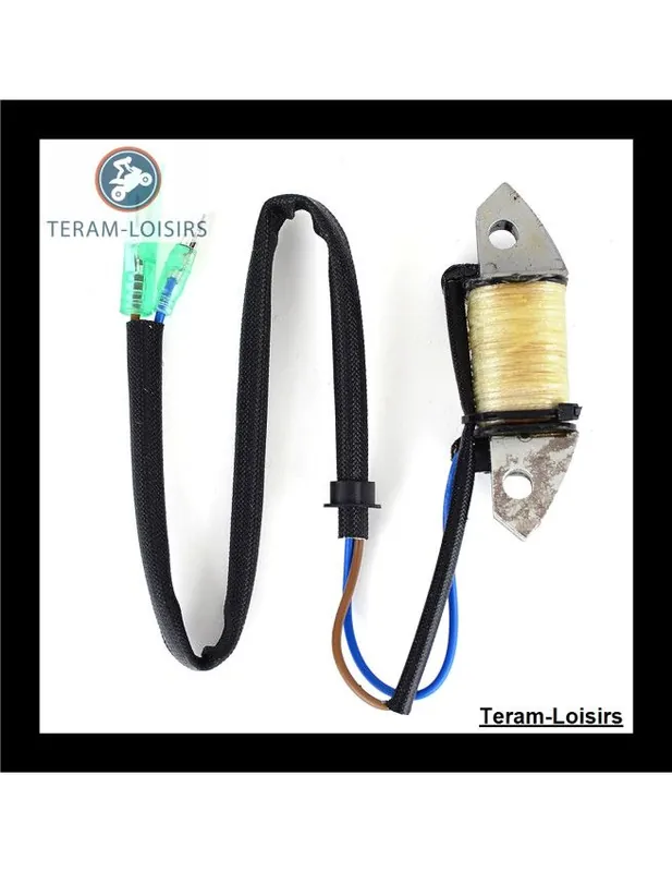 Achat Immédiat Stator Alternateur pour Yamaha 40 S / L / UL à partir de 1989