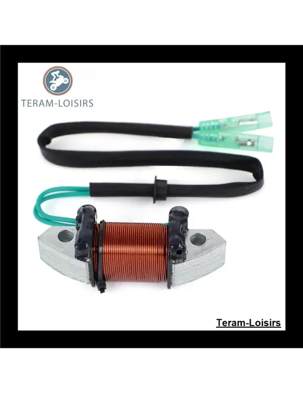 Stator Alternateur pour Yamaha 50 D EMTOS / L de 1989 1990 1991 1992 1993 1994 Vente Directe