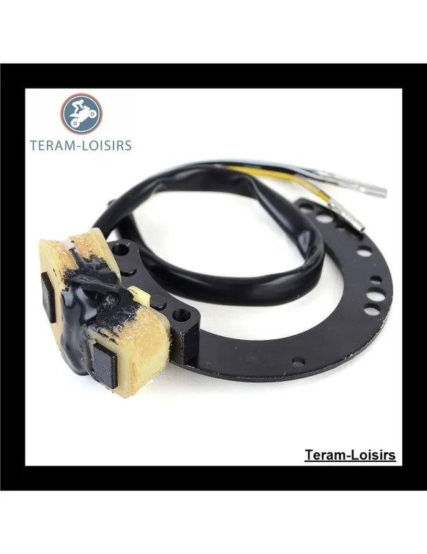 Paiement Sécurisé Stator Alternateur pour Mercury OEM:86617A11 / 86617A13 / 86617A20 / 174-6617K1