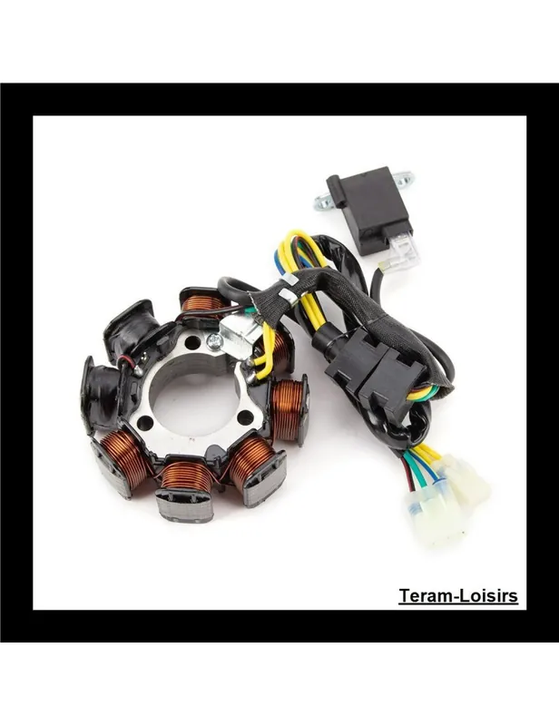 Usine Directe Stator Allumage pour Honda TRX 200 A FourTrax 200 de 1990 et 1991