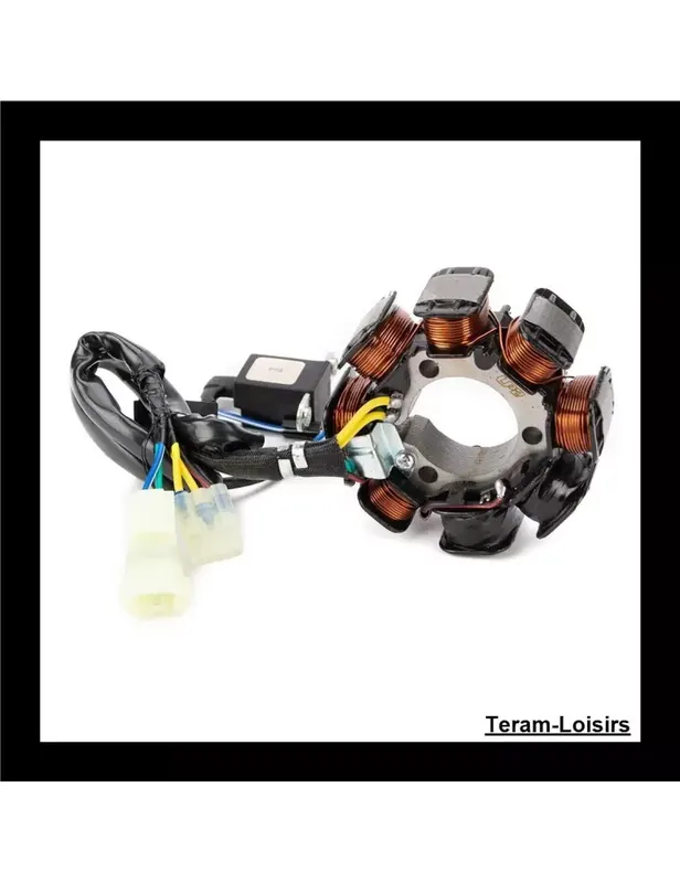 Stator Allumage pour Honda TRX250 Recon TE de 2002 2003 et 2004 Offre Exclusive