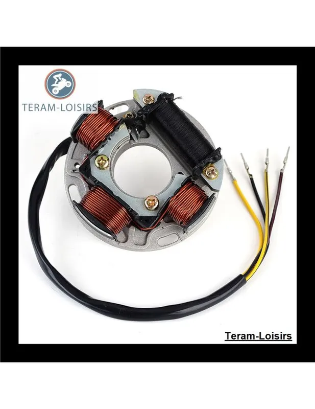 Offre Limitée Stator Alternateur pour Sea-Doo GS 5518 / 5519 / 5548 à partir de 2001
