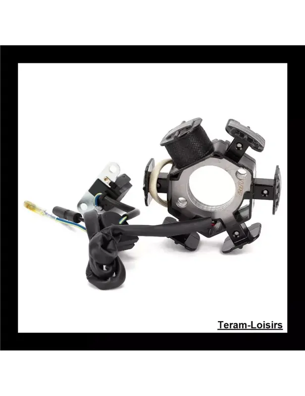 Super Prix Stator Allumage pour Honda CRF 100 F de 2004 à 2016