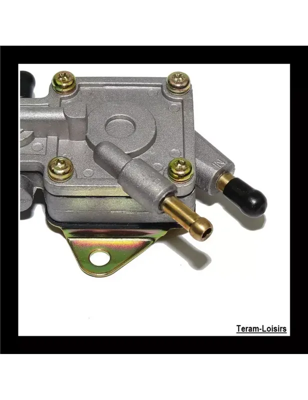 Pompe à Essence pour Polaris Sportsman 6X6 de 2000 à 2004 Bon Marché