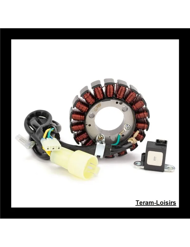 Stator Allumage pour Honda TRX 300EX Sportrax 300 EX de 1993 à 2008 Haute Qualité