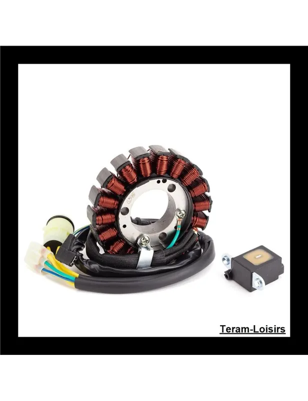 Stator Allumage pour HONDA 31120-HC4-014 Seulement Aujourd'hui