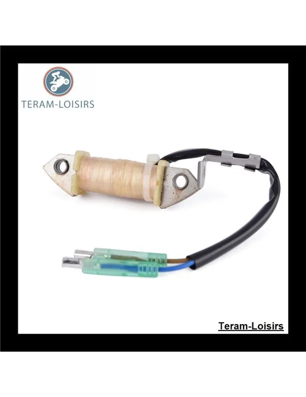 Stator Alternateur pour Yamaha 9.9HP FT9.9D M(E/W)HS/L/XL de 1999 2000 2001 2002 2003 2004 2005 2006 2007 2008 Satisfait Ou Remboursé