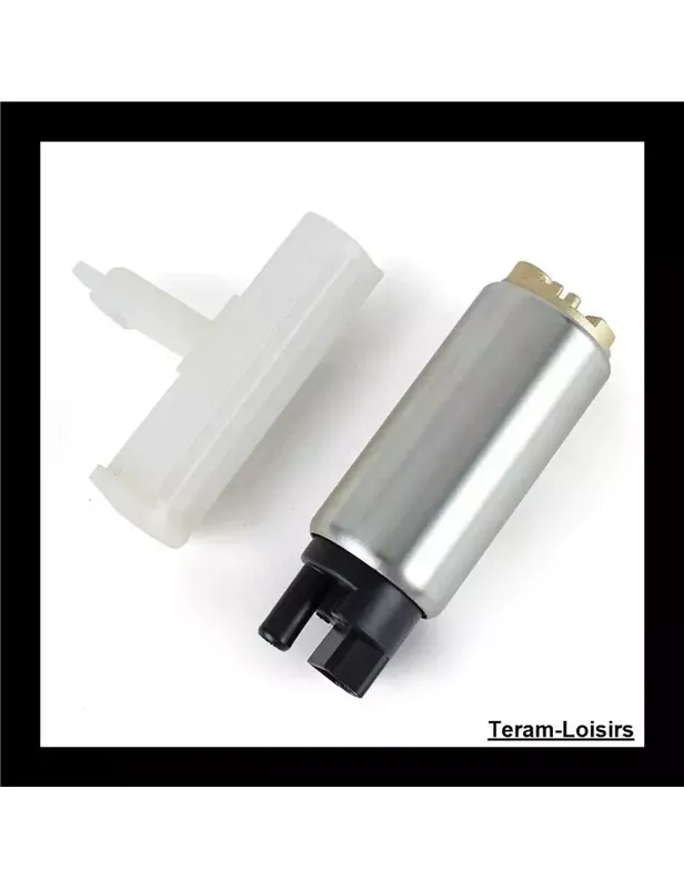 Solde Pompe à Essence pour Yamaha FT 50 de 2011 à 2017