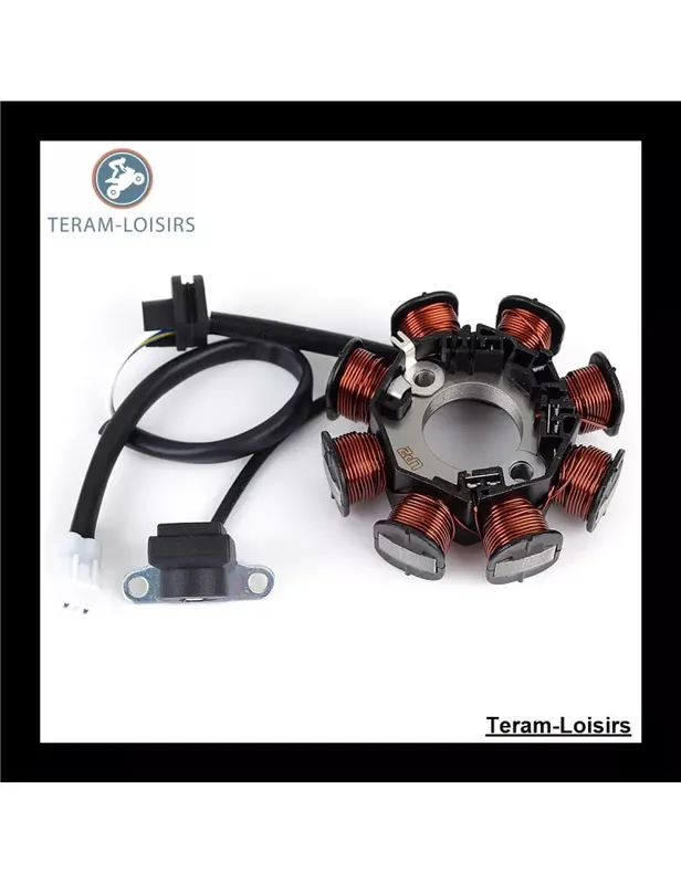 Super Prix Stator pour Kawasaki KLX 110 / KLX 110 L de 2010 2011 2012 2013 2014 2015 2016 2017 2018 2019 2020