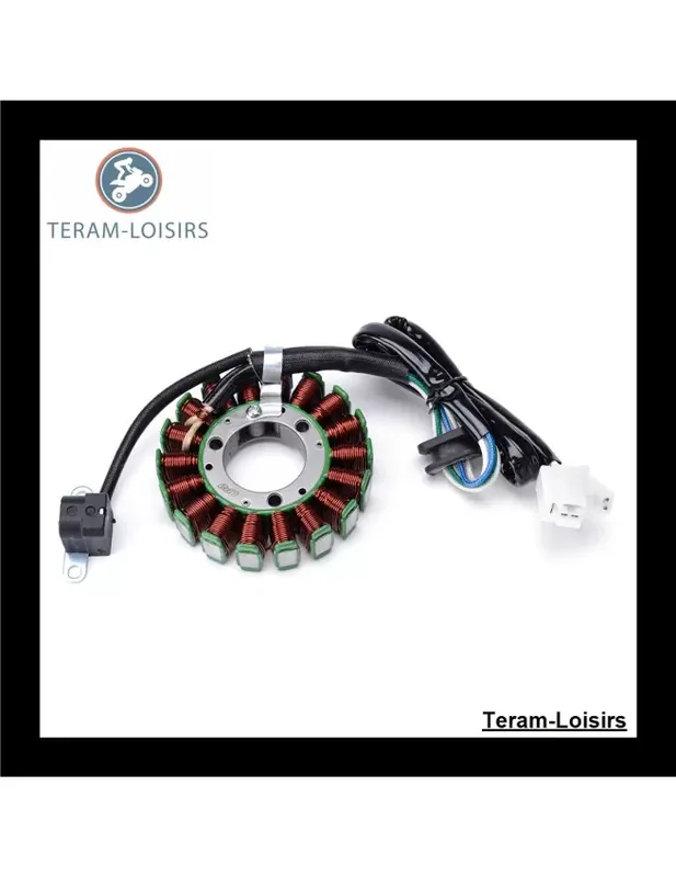 Certifié Stator Alternateur pour Yamaha TTR 250 TT-R250 de 1999 2000 2001 2002 2003 2004 2005 2006