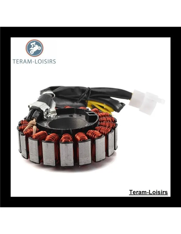 Stator Alternateur pour Honda NSS 250 Reflex / Jazz de 2001 2002 2003 Prix Cassé