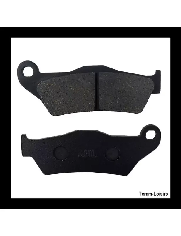 Remise Plaquettes de Frein Arrière pour YAMAHA FZS 25 FZ25 de 2019 à 2021
