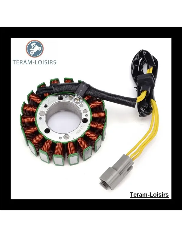 Solde Stator Alternateur pour Sea-doo 210 CHALLENGER 310 / SE de 2010 2011