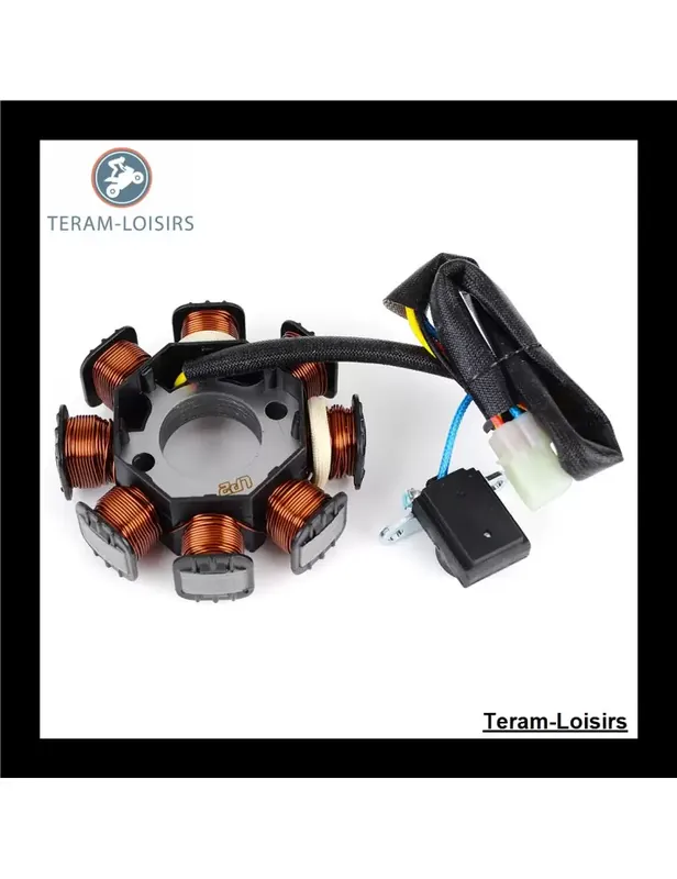 Top Vente Stator pour Polaris Predator 50 à partir de 2007