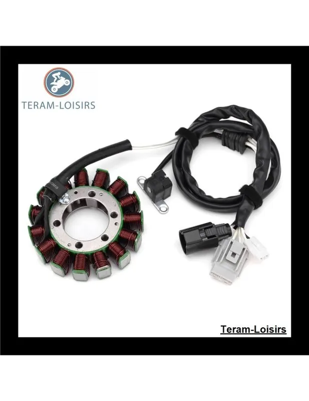 Commander Maintenant Stator Alternateur pour Yamaha YXR 700 Rhino de 2008 2009 et de 2011 2012 2013