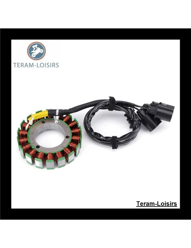 Stator Alternateur pour Kawasaki KRF 750 Teryx 4X4 à partir de 2008 Promotion Saisonnière