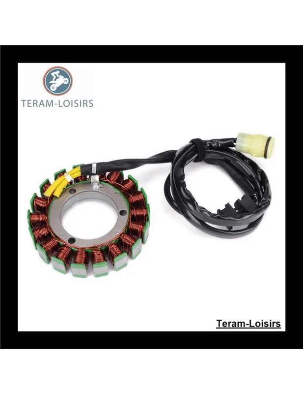 Stator Alternateur pour Kawasaki 21003-0003 / 21003-0012 Prix Réduit