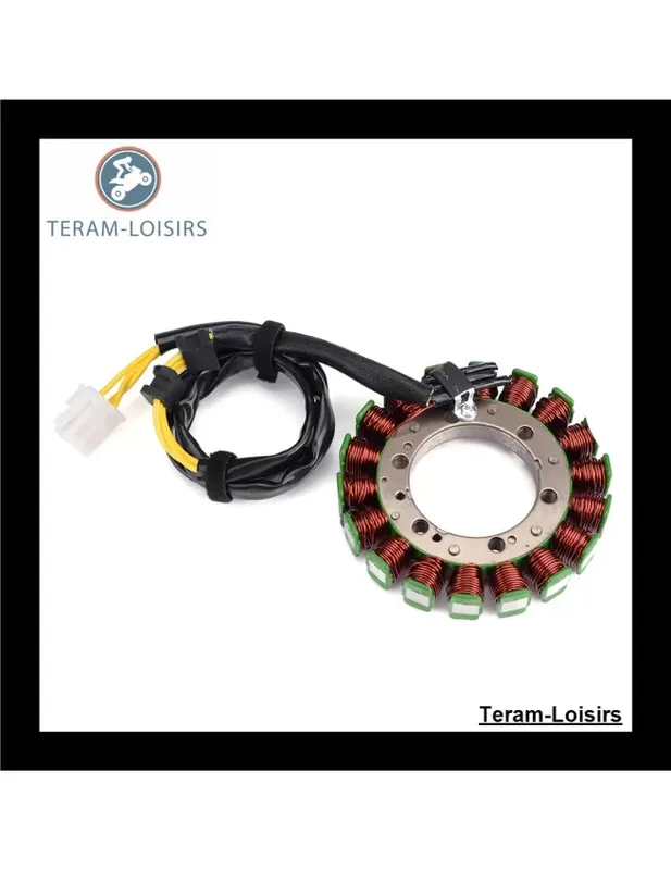 Soldes Stator Alternateur pour Kawasaki 21003-0045 / 21003-0084
