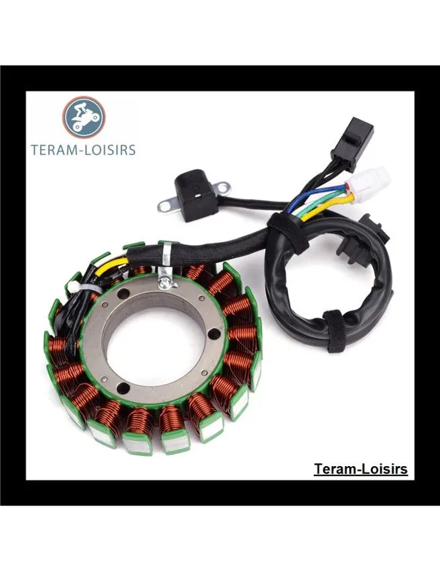 Acheter En Ligne Stator Alternateur pour Suzuki LTA 500 Vinson 4WD de 2002 2003 2004 2005 2006 2007