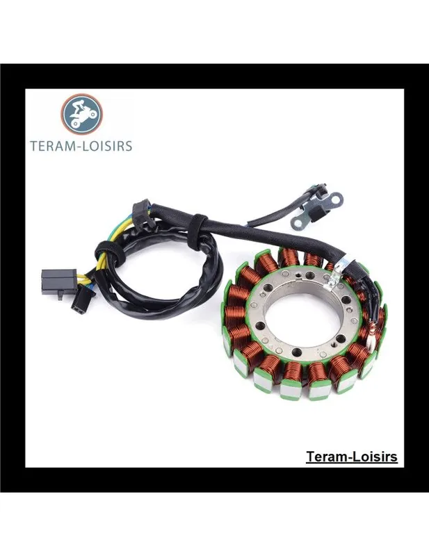 Stator Alternateur pour Suzuki TL 1000 S de 1997 1998 1999 2000 2001 Usine Directe