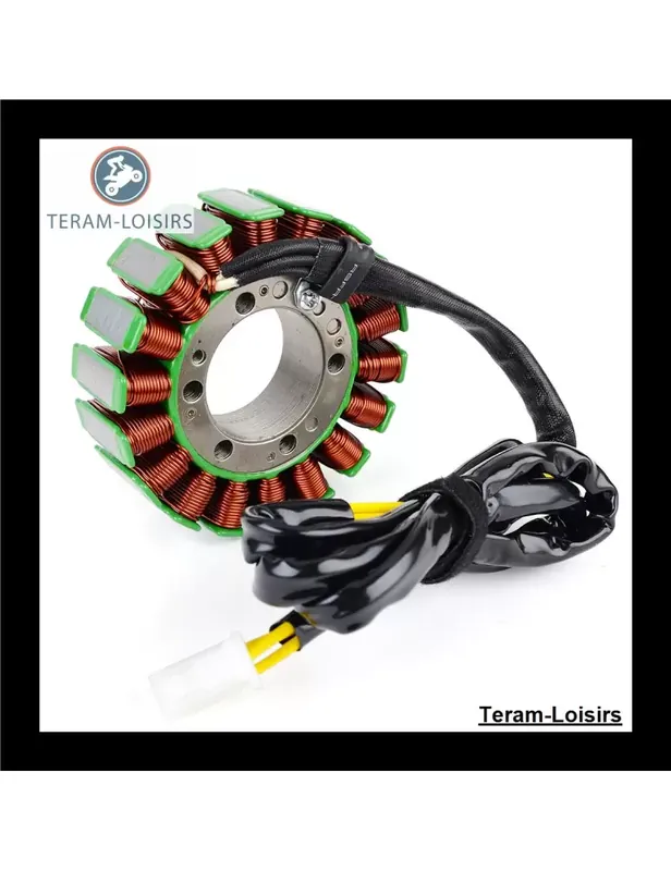 Paiement Sécurisé Stator pour Ducati Monster 750 à partir de 2002