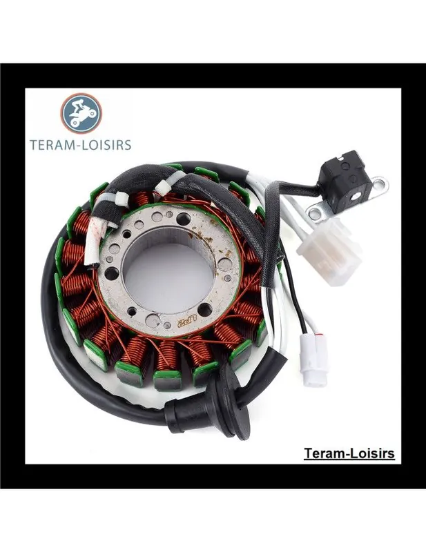 Stator Alternateur pour Yamaha Venture 700 de 2001 2002 2003 Certifié
