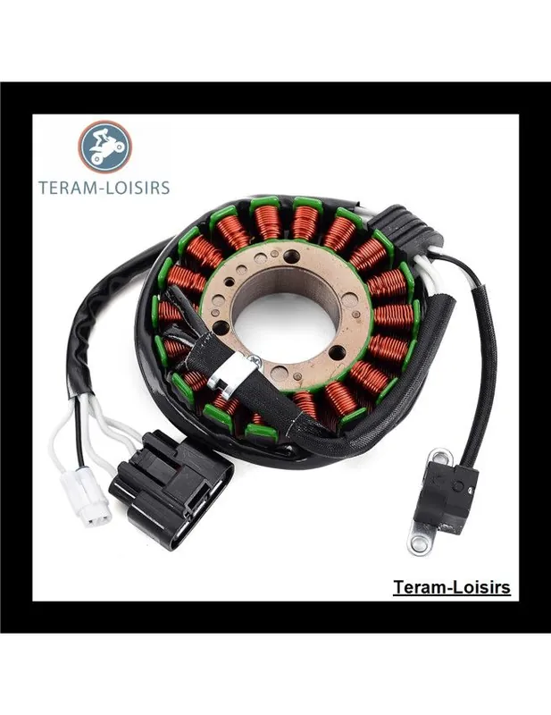 Vente Directe Stator Alternateur pour Yamaha Phazer 500 GT PZ 50 GT à partir de 2011