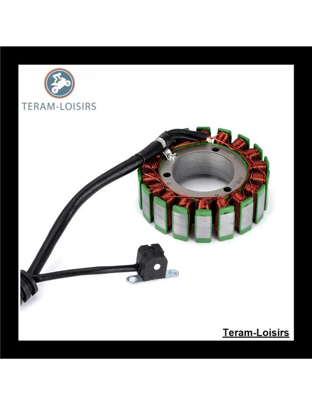 Usine Directe Stator Alternateur pour Yamaha Apex 1000 de 2006 2007 2008 2009 2010