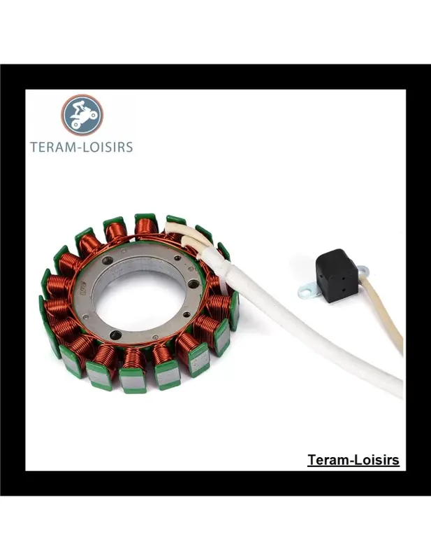 Remise Stator Alternateur pour Coleman Outfitter 400 de 2012 2013 2014 2015