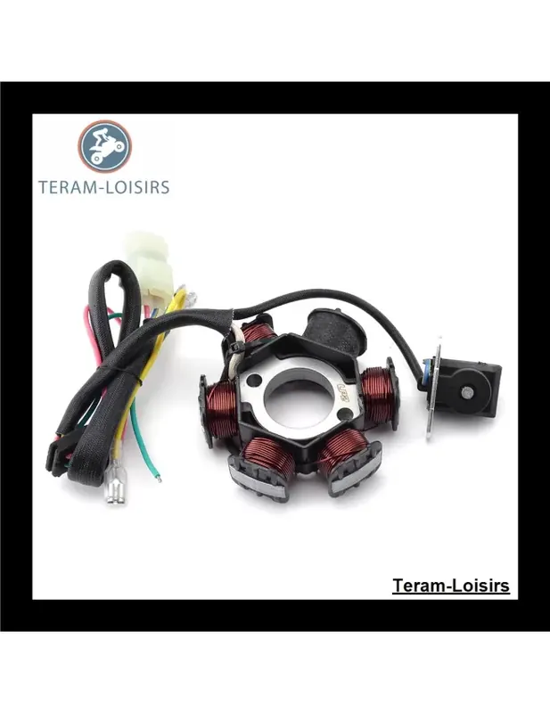 Vente Directe Stator Alternateur pour Honda TRX 90 FourTrax de 1993 1994 1995 1996 1997 1998 1999 2000
