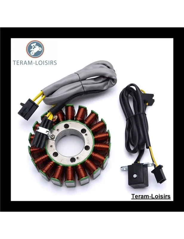 Stator Alternateur pour Kawasaki EX 250 Ninja 250 R de 2008 2009 2010 2011 2012 Paiement Sécurisé