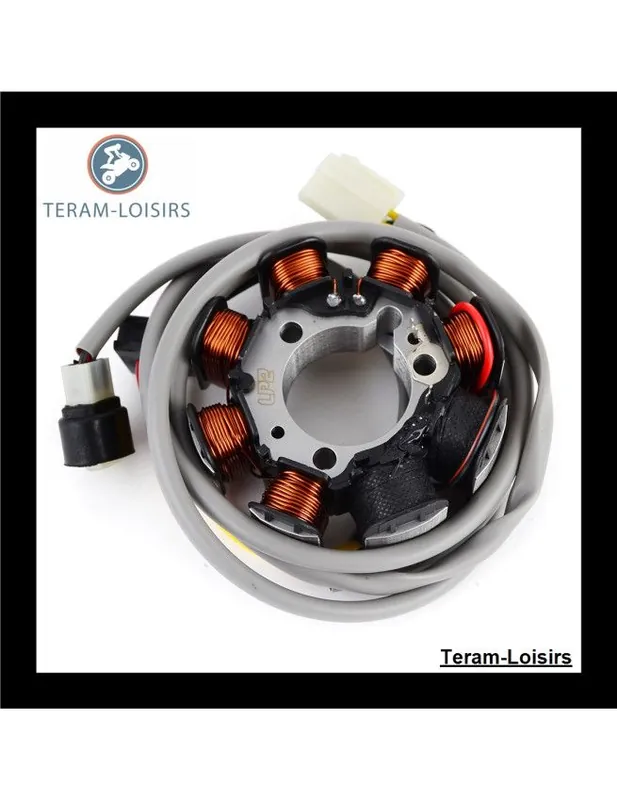 Jusqu'à Épuisement Des Stocks Stator Alternateur pour Kawasaki KLF 185 Bayou de 1985 1986 1987 1988