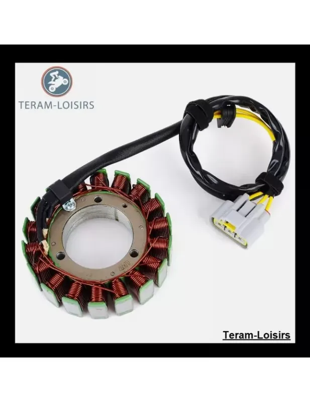 Stator Alternateur pour Can-Am Spyder RS Roadster 990 SE5 de 2009 2010 2011 2012 2013 Prix Promo
